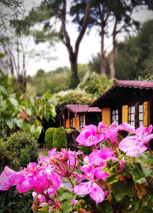 Bungalow with Fireplace and Garden View